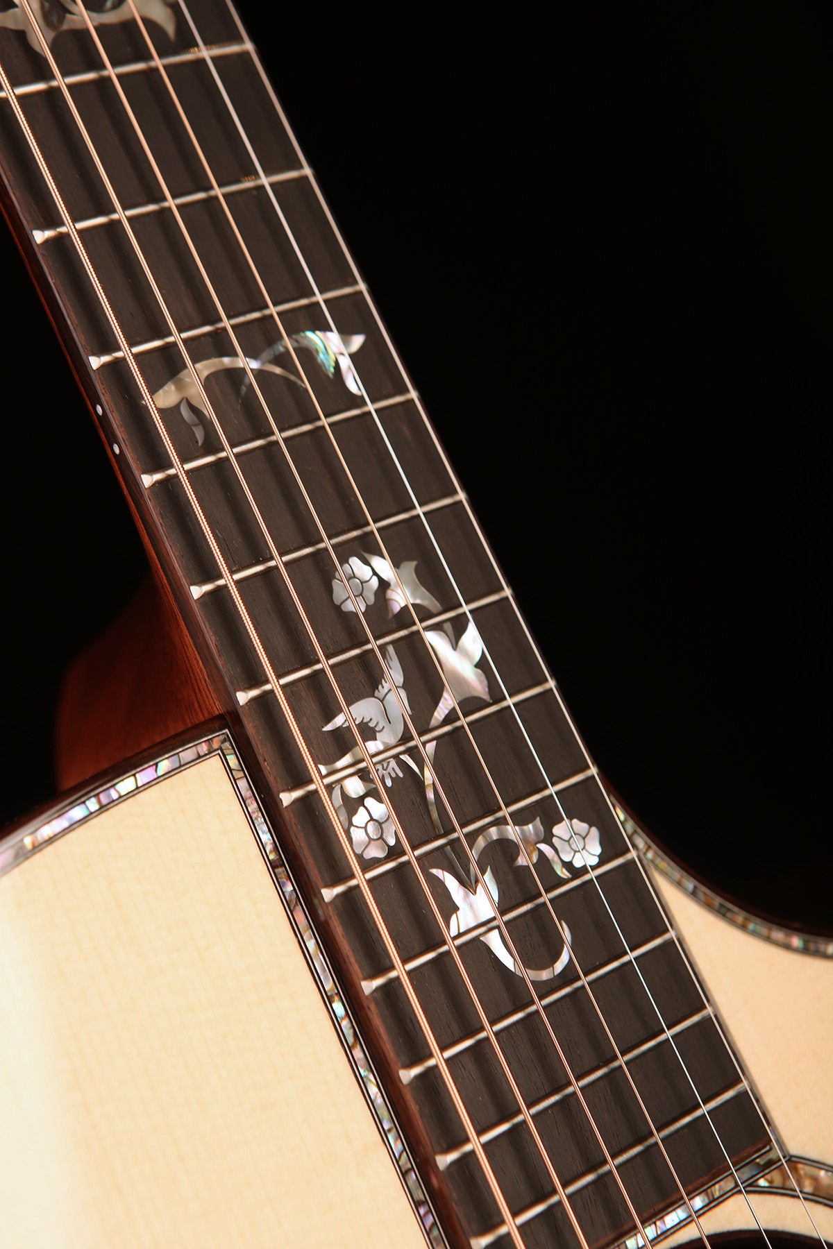 Taylor Legacy Collection 914ce Acoustic Electric Guitar - Acoustic Centre Music Store, Melbourne Australia