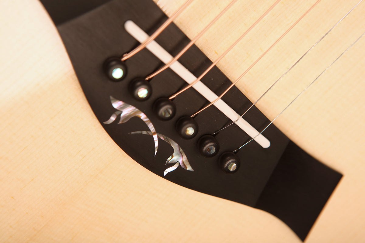 Taylor Legacy Collection 914ce Acoustic Electric Guitar - Acoustic Centre Music Store, Melbourne Australia