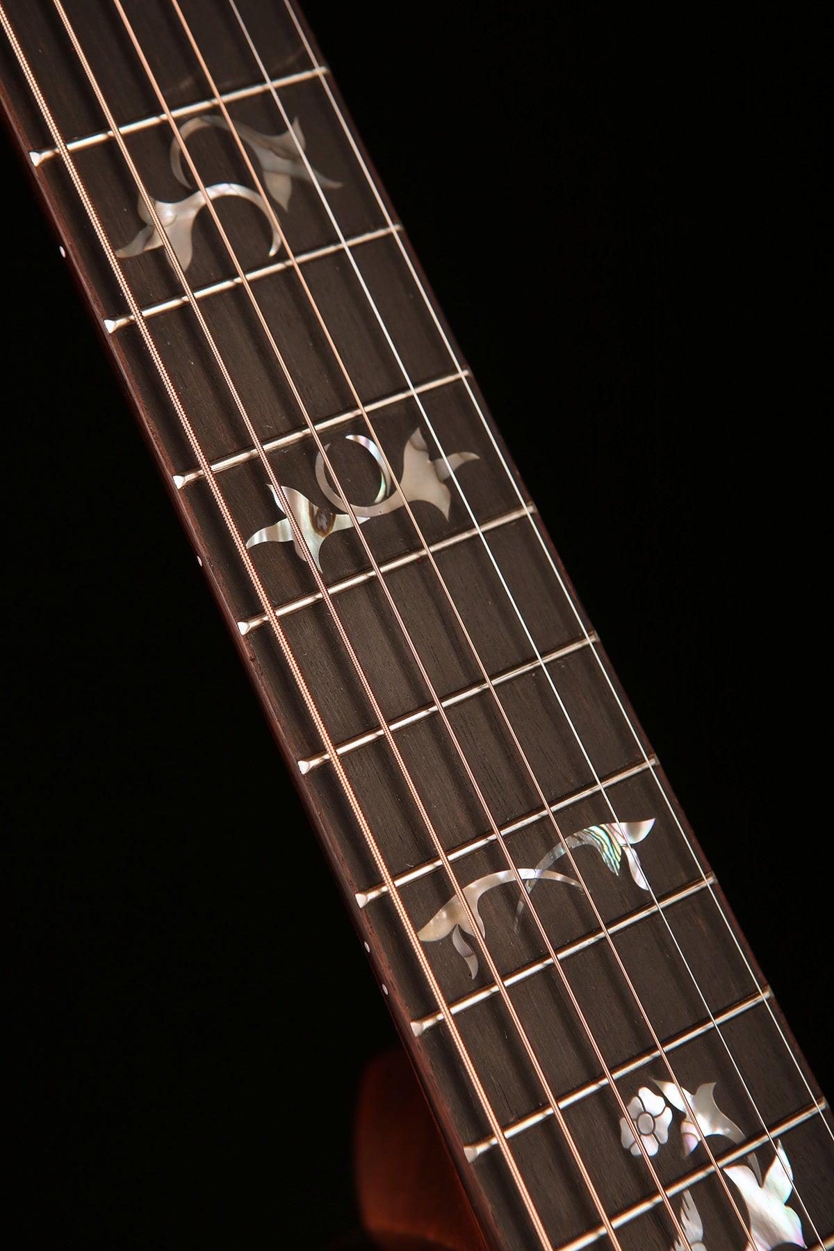 Taylor Legacy Collection 914ce Acoustic Electric Guitar - Acoustic Centre Music Store, Melbourne Australia