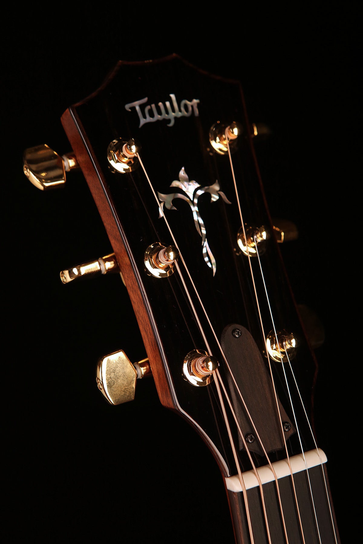 Taylor Legacy Collection 914ce Acoustic Electric Guitar - Acoustic Centre Music Store, Melbourne Australia