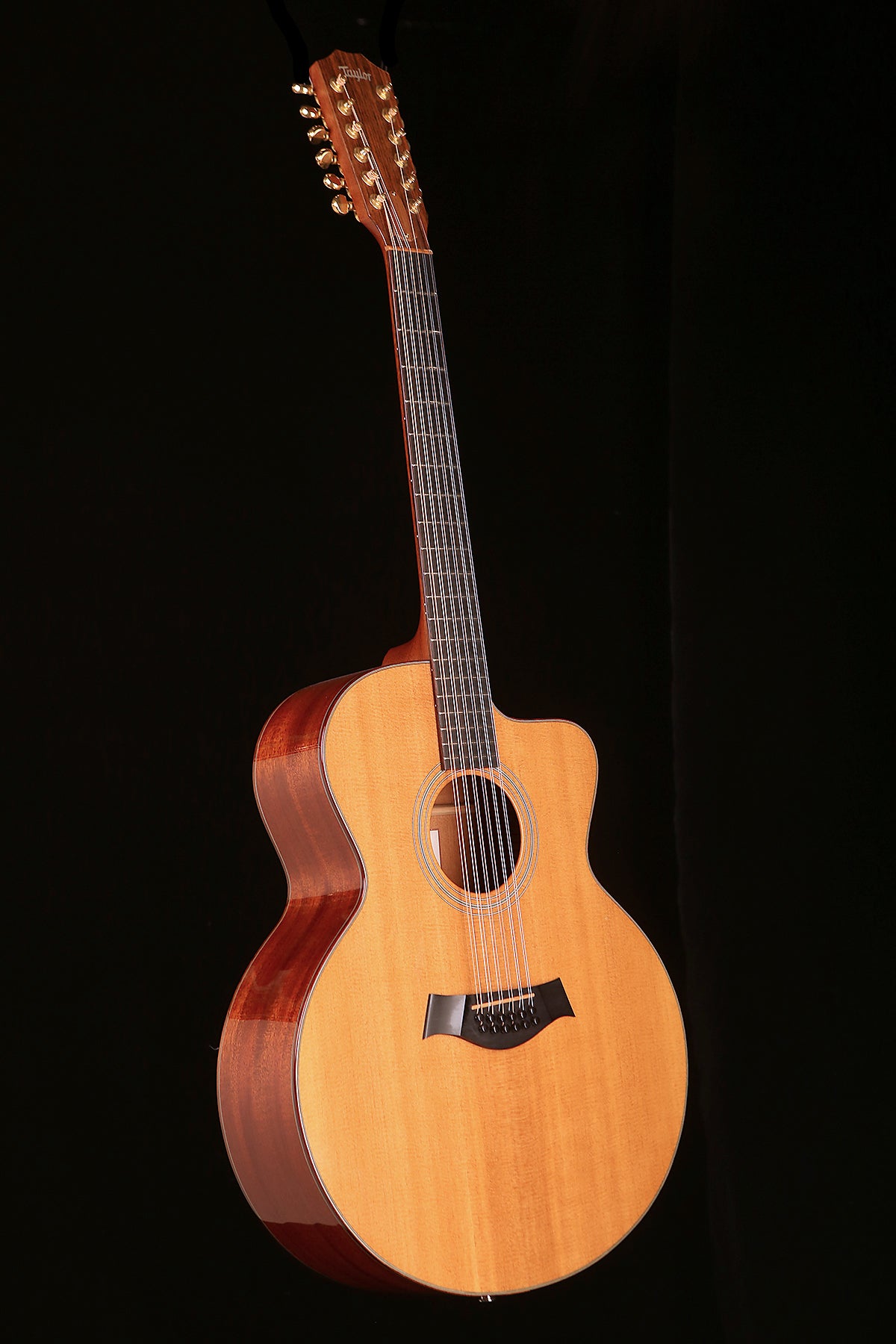 Taylor LKSM Leo Kottke Signature Model 12-String Preowned 1998