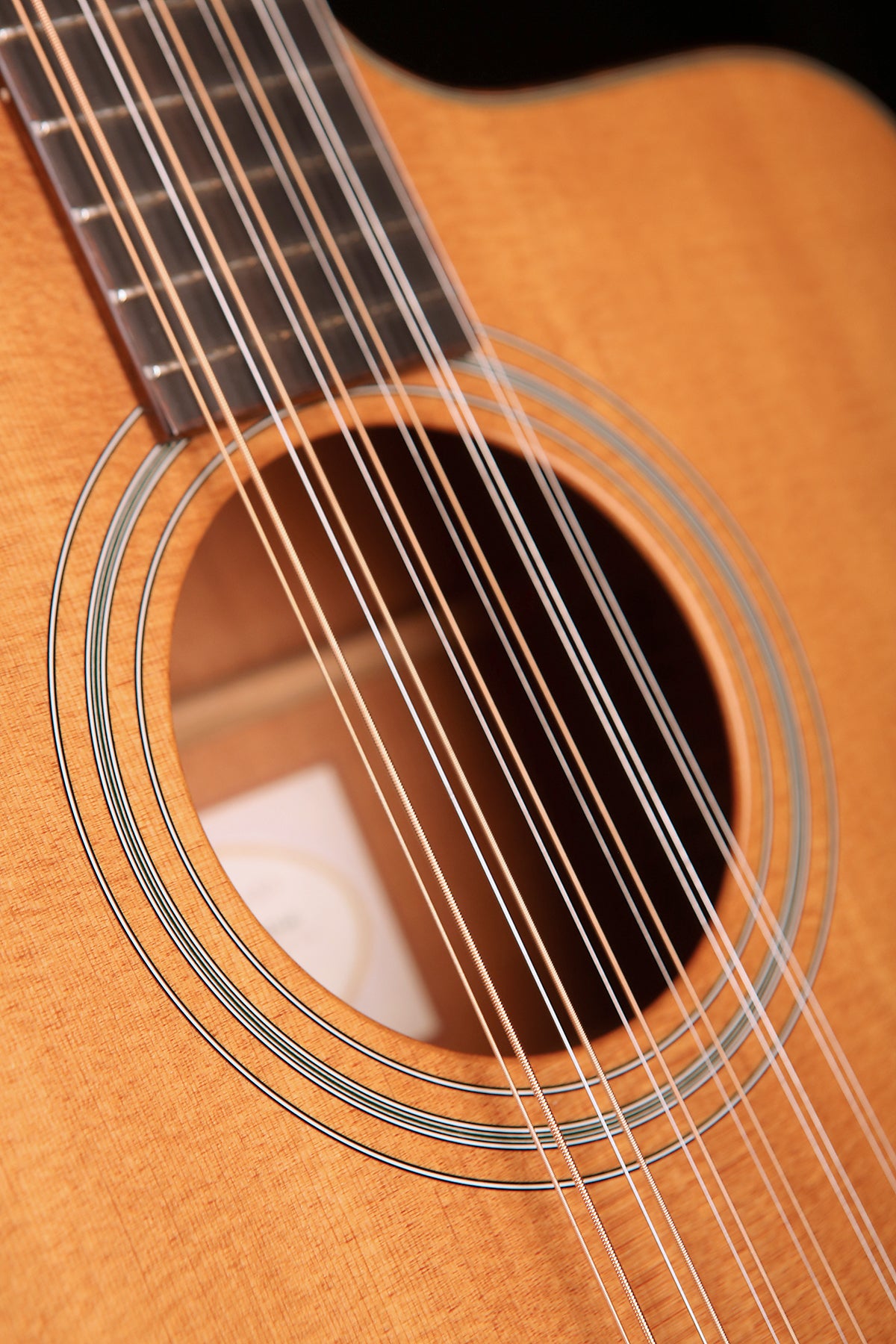 Taylor LKSM Leo Kottke Signature Model 12-String Preowned 1998