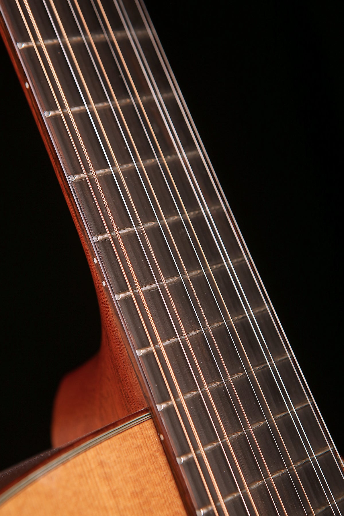 Taylor LKSM Leo Kottke Signature Model 12-String Preowned 1998