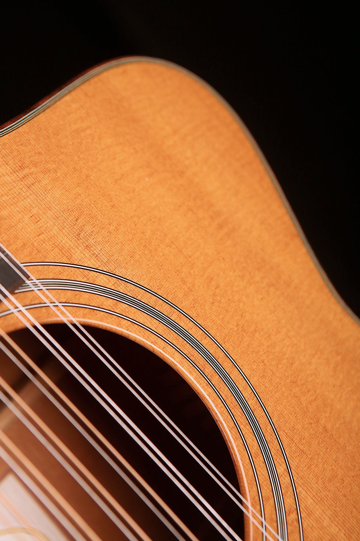 Taylor LKSM Leo Kottke Signature Model 12-String Preowned 1998