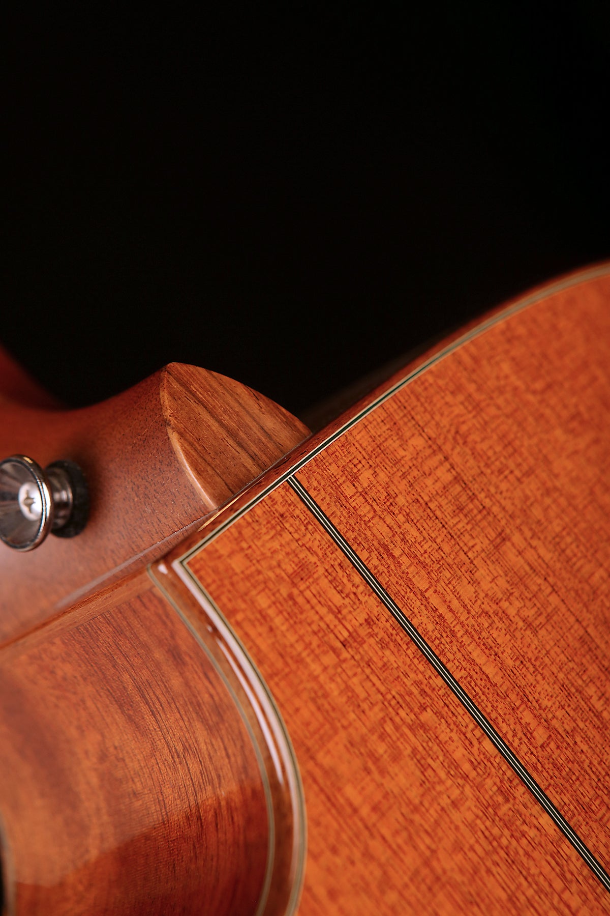 Taylor LKSM Leo Kottke Signature Model 12-String Preowned 1998