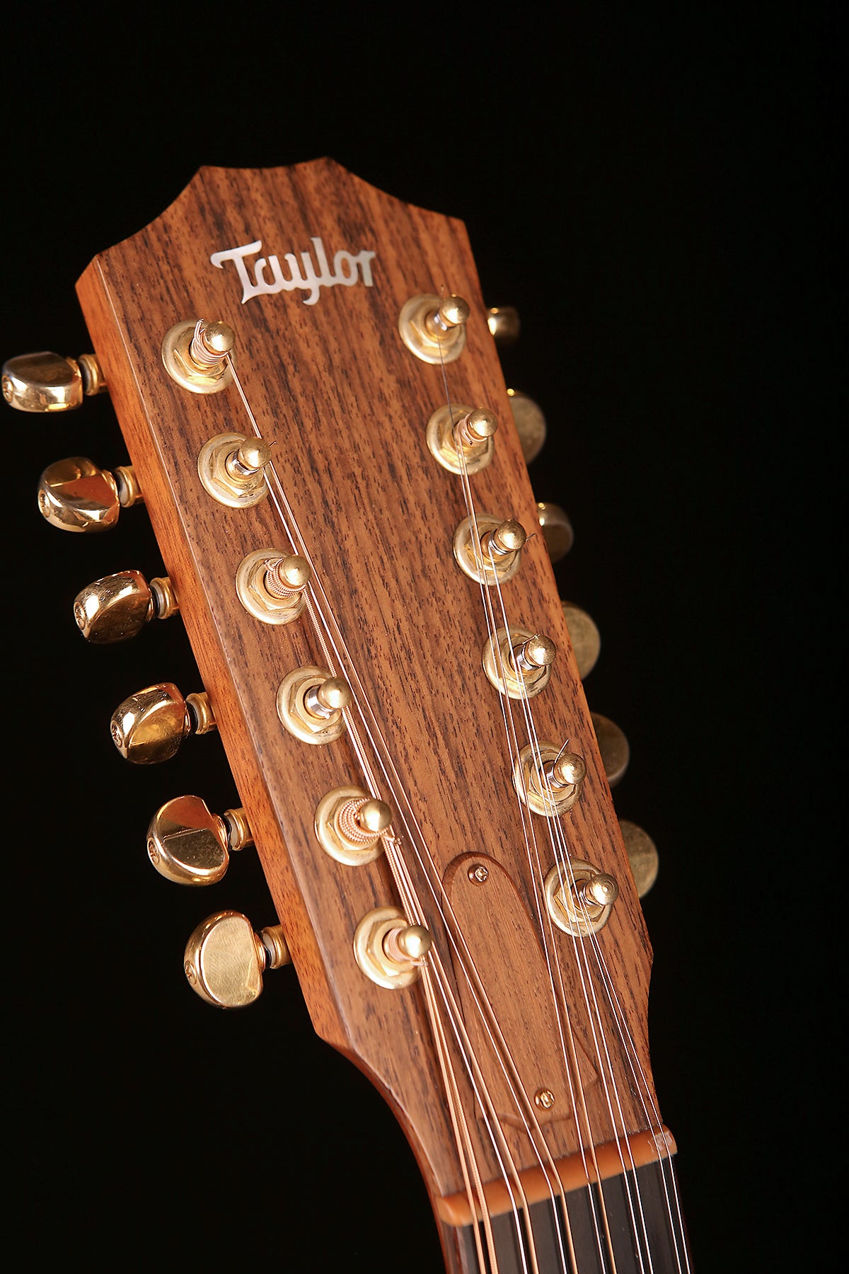 Taylor LKSM Leo Kottke Signature Model 12-String Preowned 1998