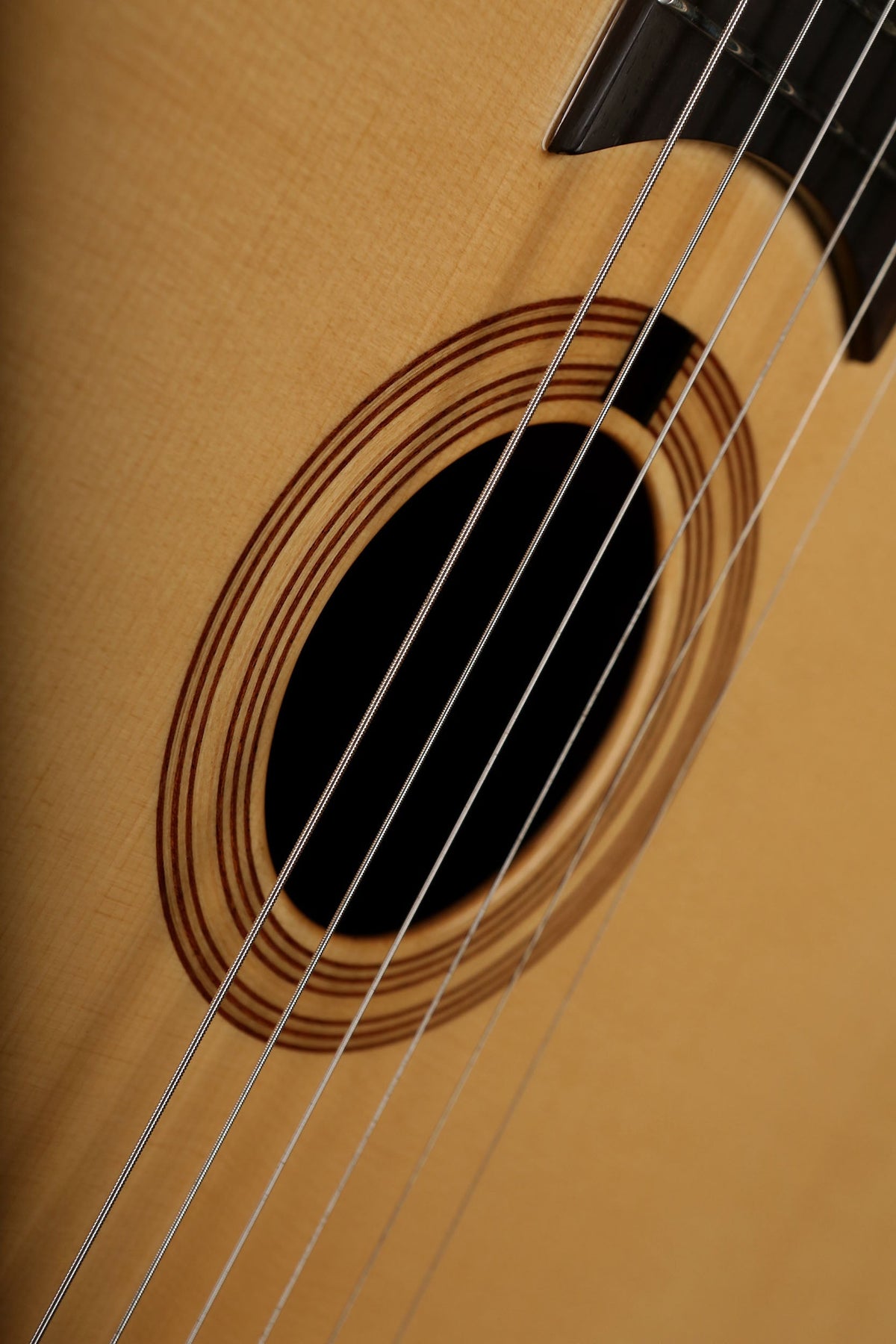 Altamira T Ziricote Oval Hole Gypsy Jazz Guitar - Acoustic Centre Music Store, Melbourne Australia