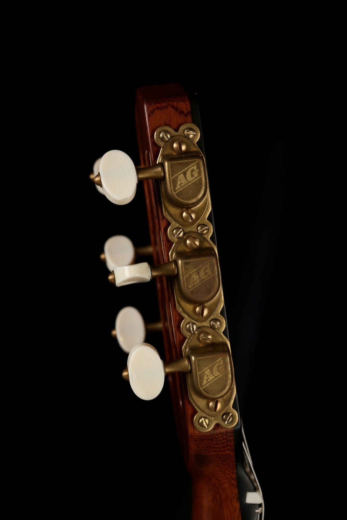 Altamira T Ziricote Oval Hole Gypsy Jazz Guitar - Acoustic Centre Music Store, Melbourne Australia