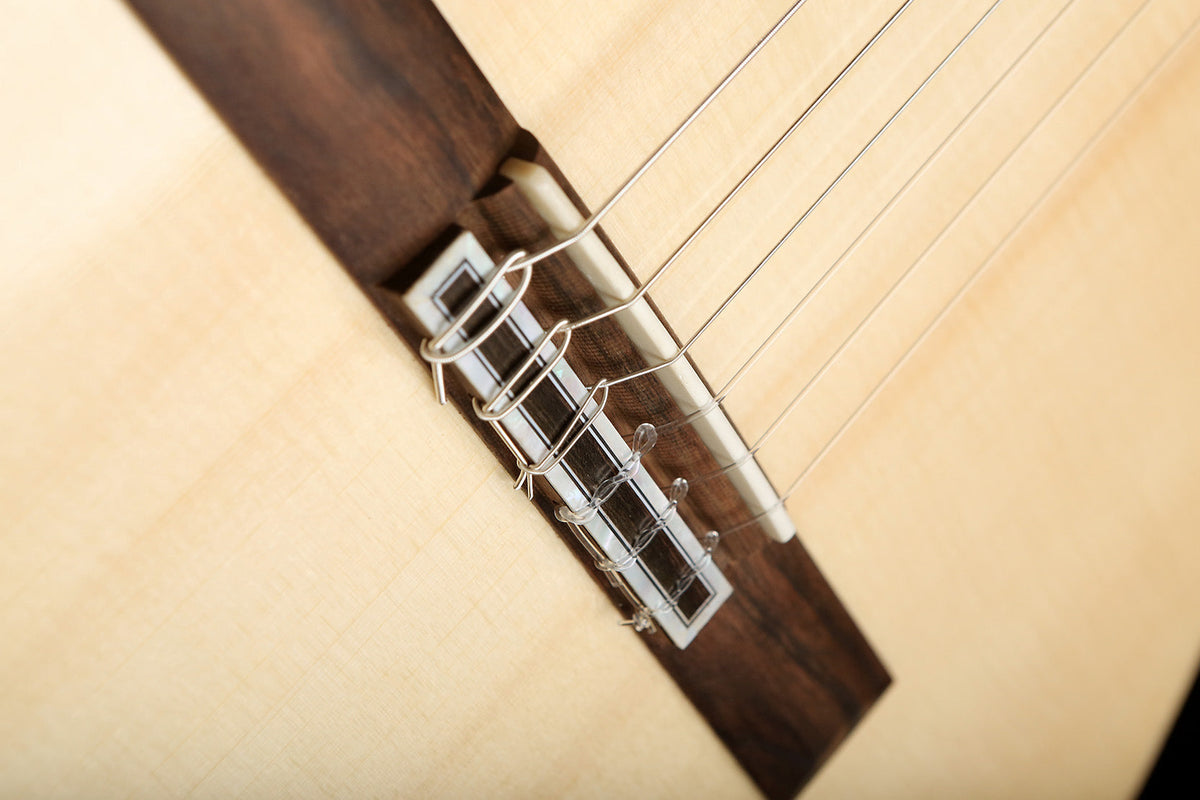 Cordoba Fusion 5 Classical Electric Guitar - Acoustic Centre Music Store, Melbourne Australia