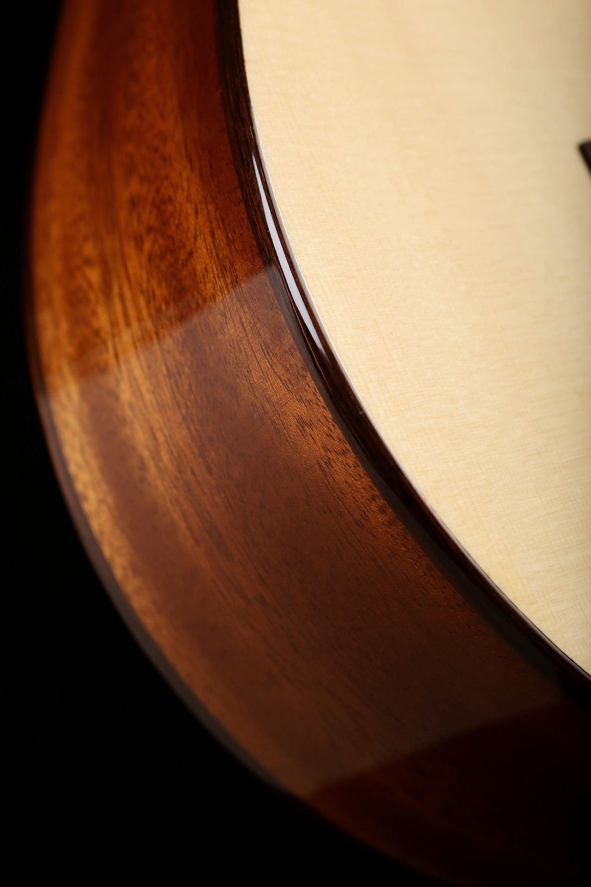 Cordoba Fusion 5 Classical Electric Guitar - Acoustic Centre Music Store, Melbourne Australia