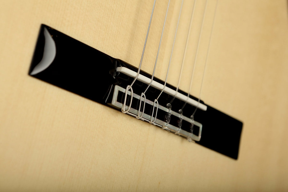 Cordoba GK Pro Negra Spruce / Indian Rosewood Classical Electric Guitar - Acoustic Centre Music Store, Melbourne Australia