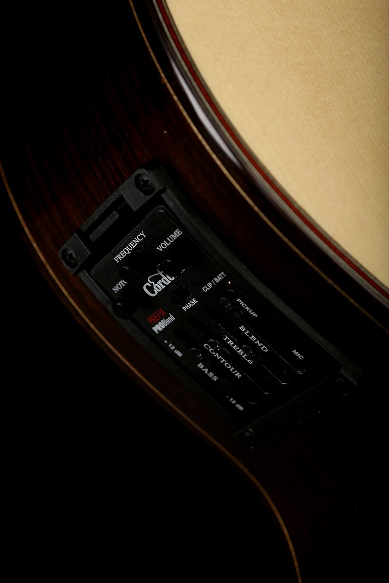 Cordoba GK Pro Negra Spruce / Indian Rosewood Classical Electric Guitar - Acoustic Centre Music Store, Melbourne Australia
