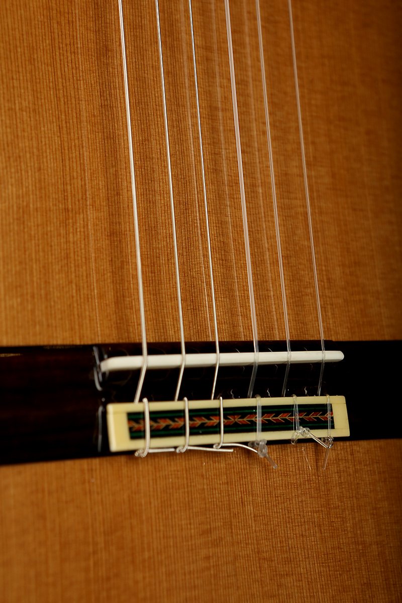 Altamira N600CE Classical Electric Guitar - Acoustic Centre Music Store, Melbourne Australia