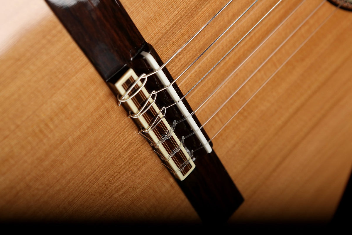 Altamira N300 Classical Guitar - Acoustic Centre Music Store, Melbourne Australia