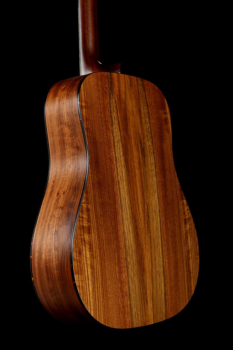 Eastman E3DE Acoustic Electric Guitar - Acoustic Centre Music Store, Melbourne Australia