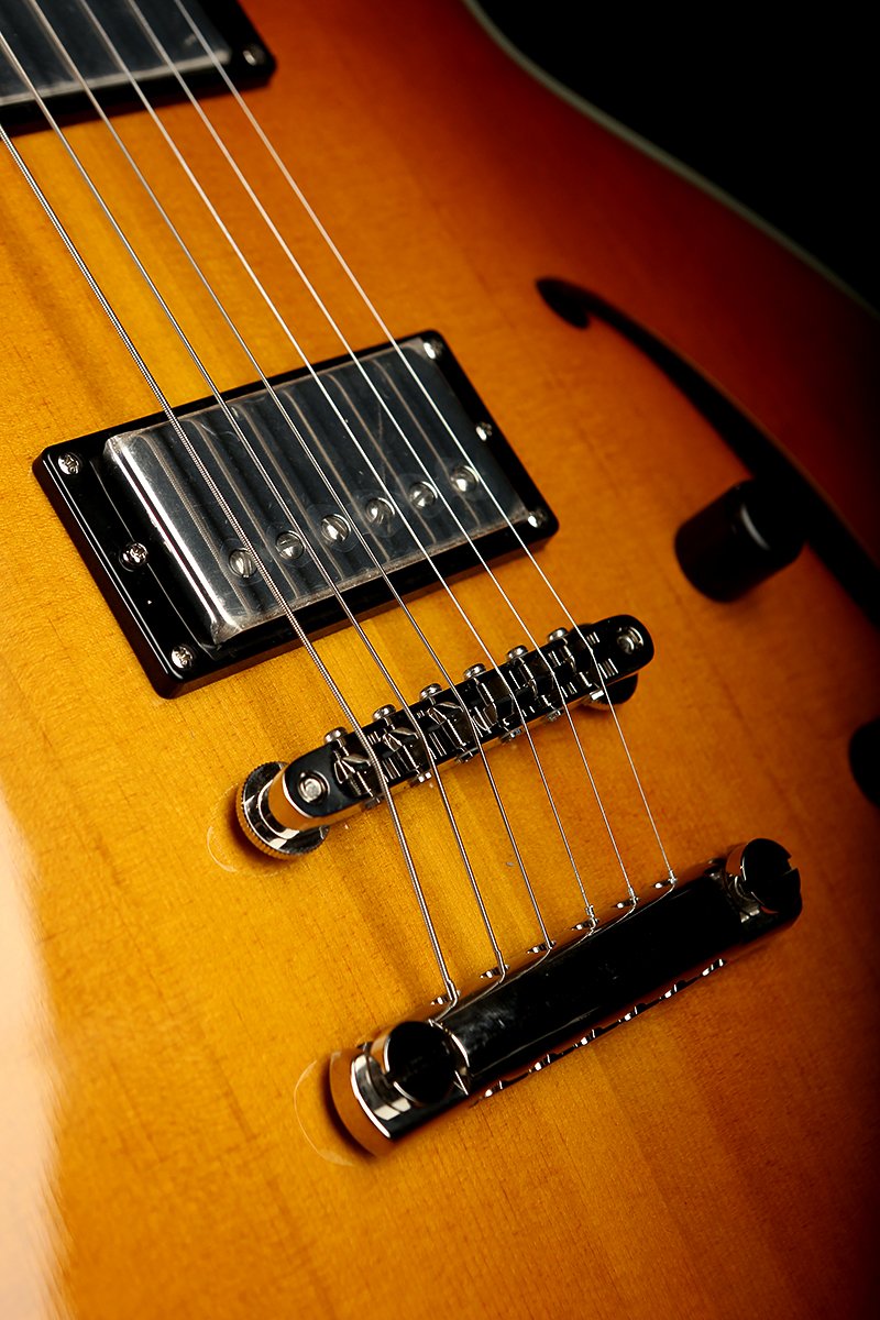 Eastman Romeo Electric Guitar - Acoustic Centre Music Store, Melbourne Australia