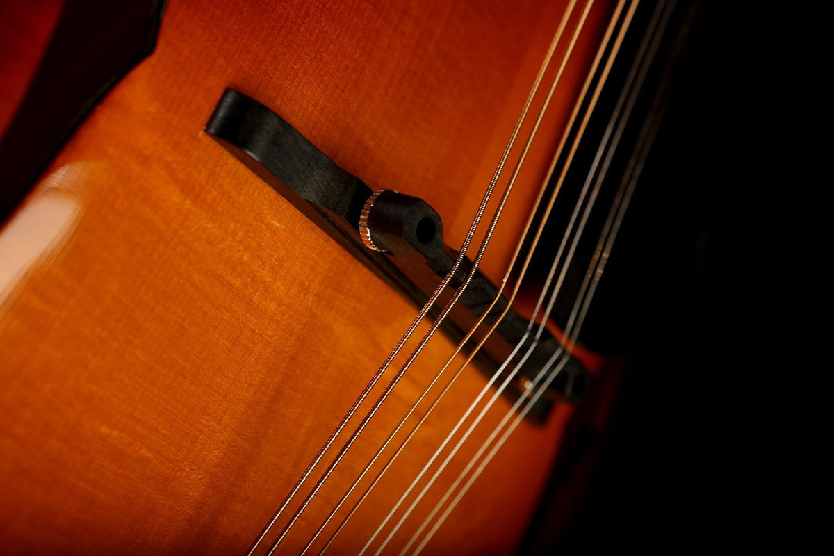 Eastman MD605-SB Mandolin - Acoustic Centre Music Store, Melbourne Australia