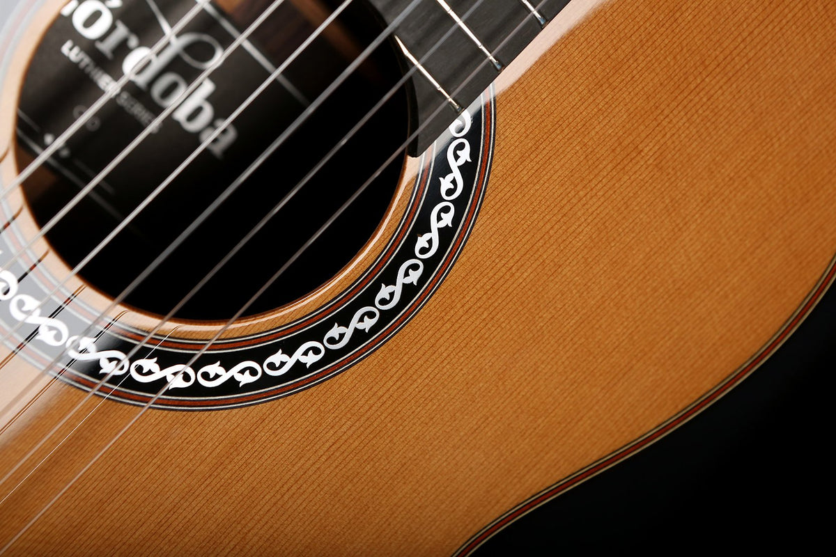 Cordoba C10 CD Cedar / Rosewood Classical Guitar - Acoustic Centre Music Store, Melbourne Australia