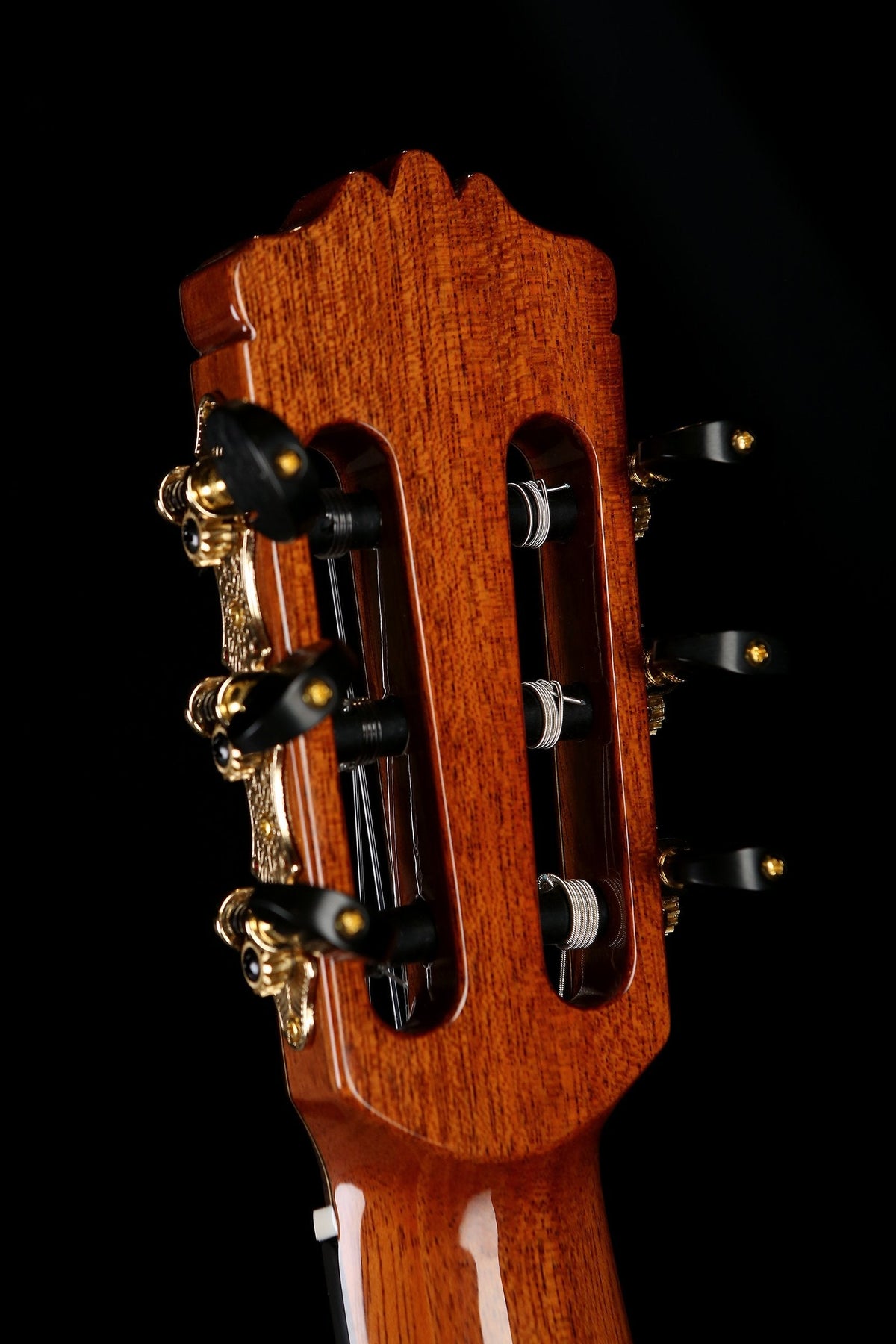 Cordoba C10 CD Cedar / Rosewood Classical Guitar - Acoustic Centre Music Store, Melbourne Australia