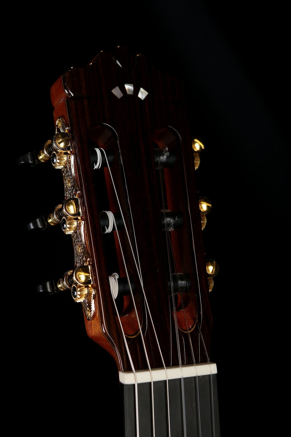 Cordoba C10 CD Cedar / Rosewood Classical Guitar - Acoustic Centre Music Store, Melbourne Australia