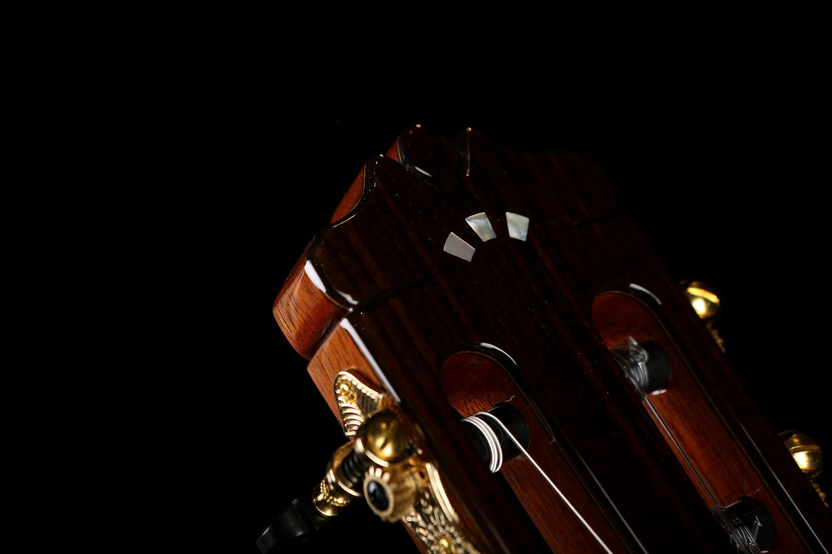 Cordoba C10 CD Cedar / Rosewood Classical Guitar - Acoustic Centre Music Store, Melbourne Australia