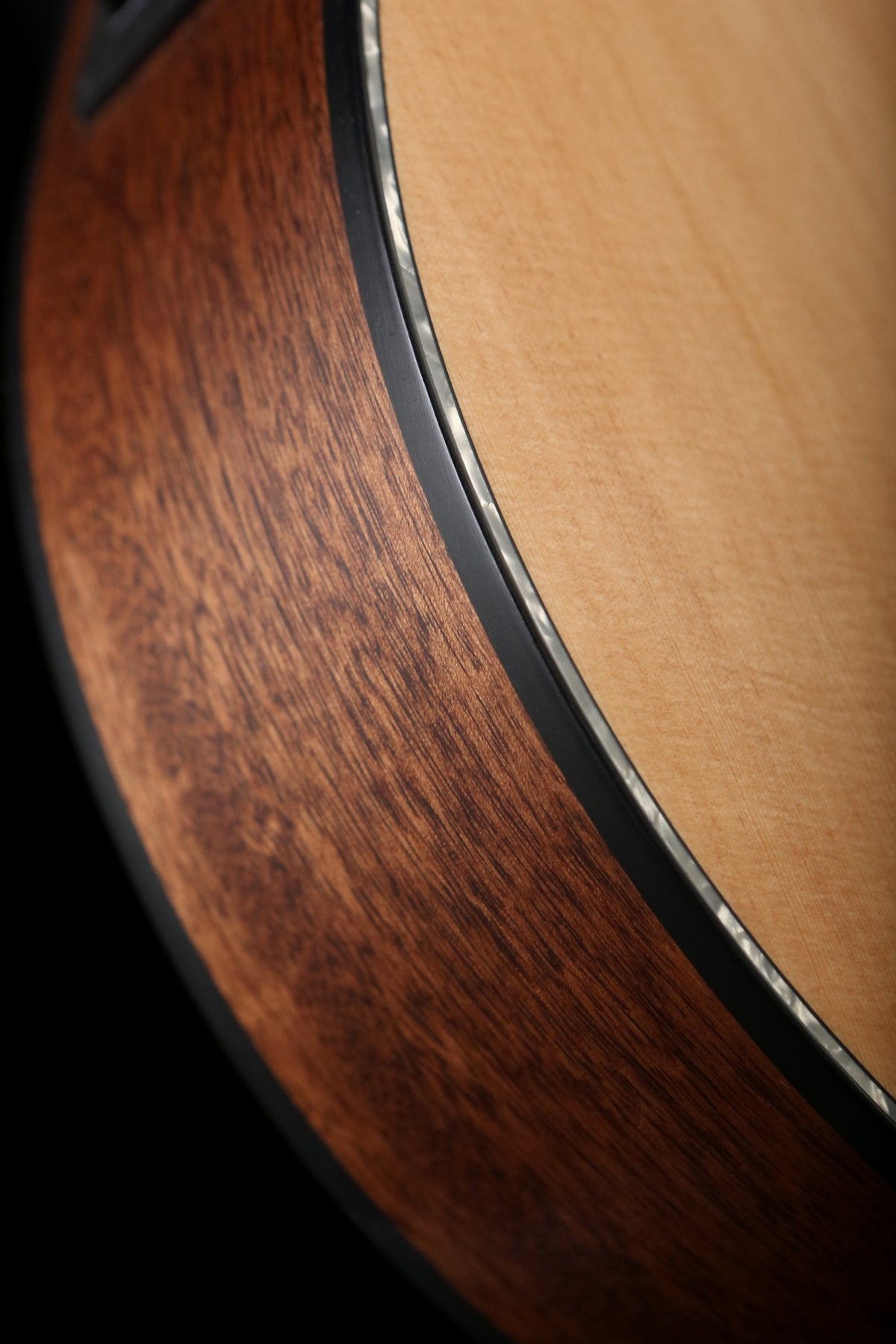 Cort SFX-E Acoustic Electric Guitar - Acoustic Centre Music Store, Melbourne Australia