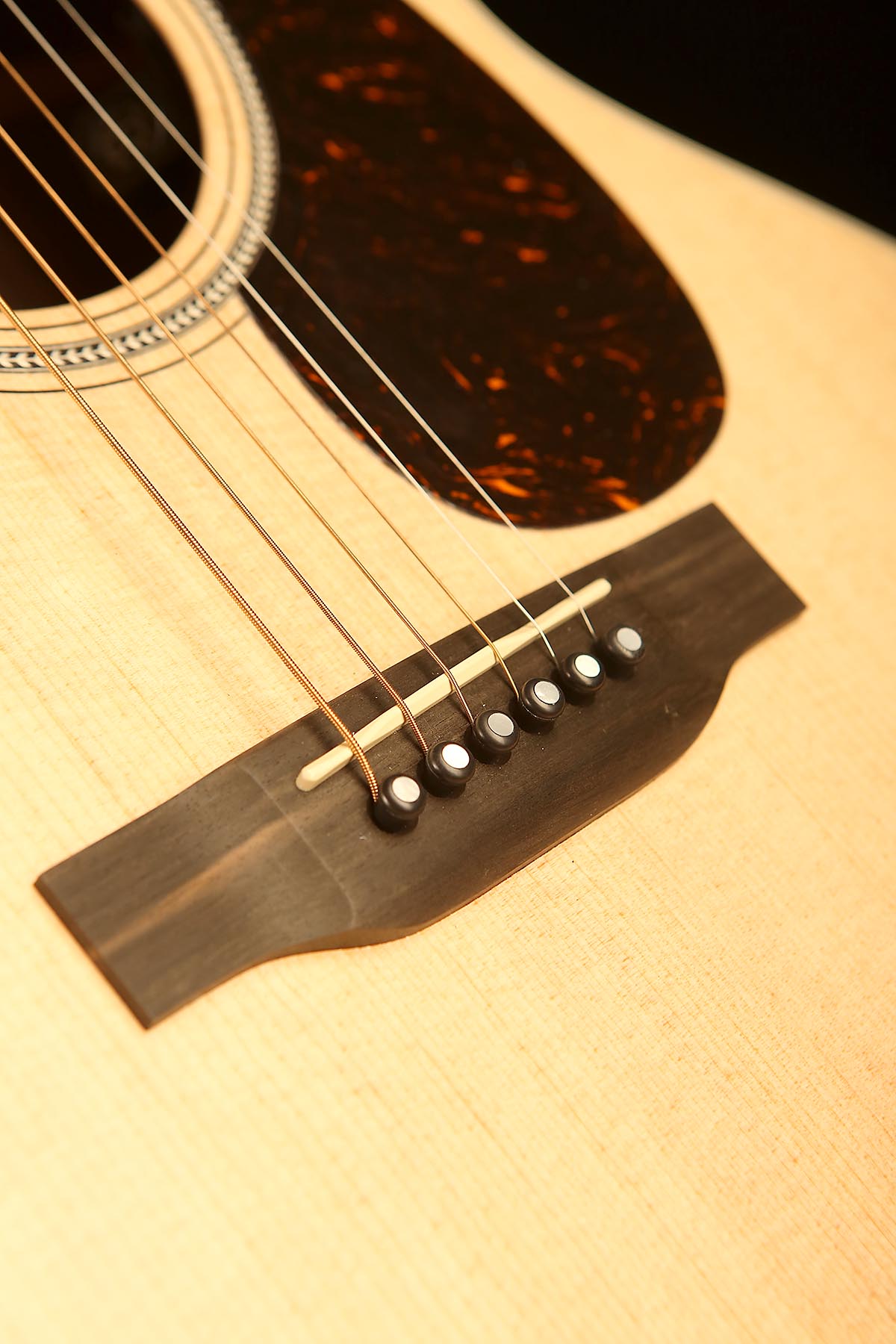 Martin GPC16E Rosewood: 16 Series Grand Performance Acoustic Electric Guitar - Acoustic Centre Music Store, Melbourne Australia