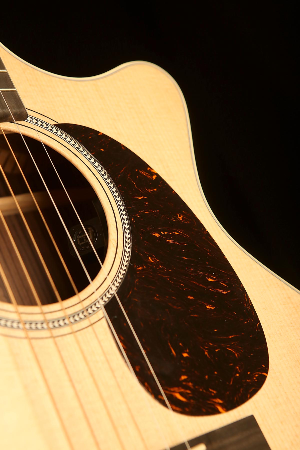 Martin GPC16E Rosewood: 16 Series Grand Performance Acoustic Electric Guitar - Acoustic Centre Music Store, Melbourne Australia