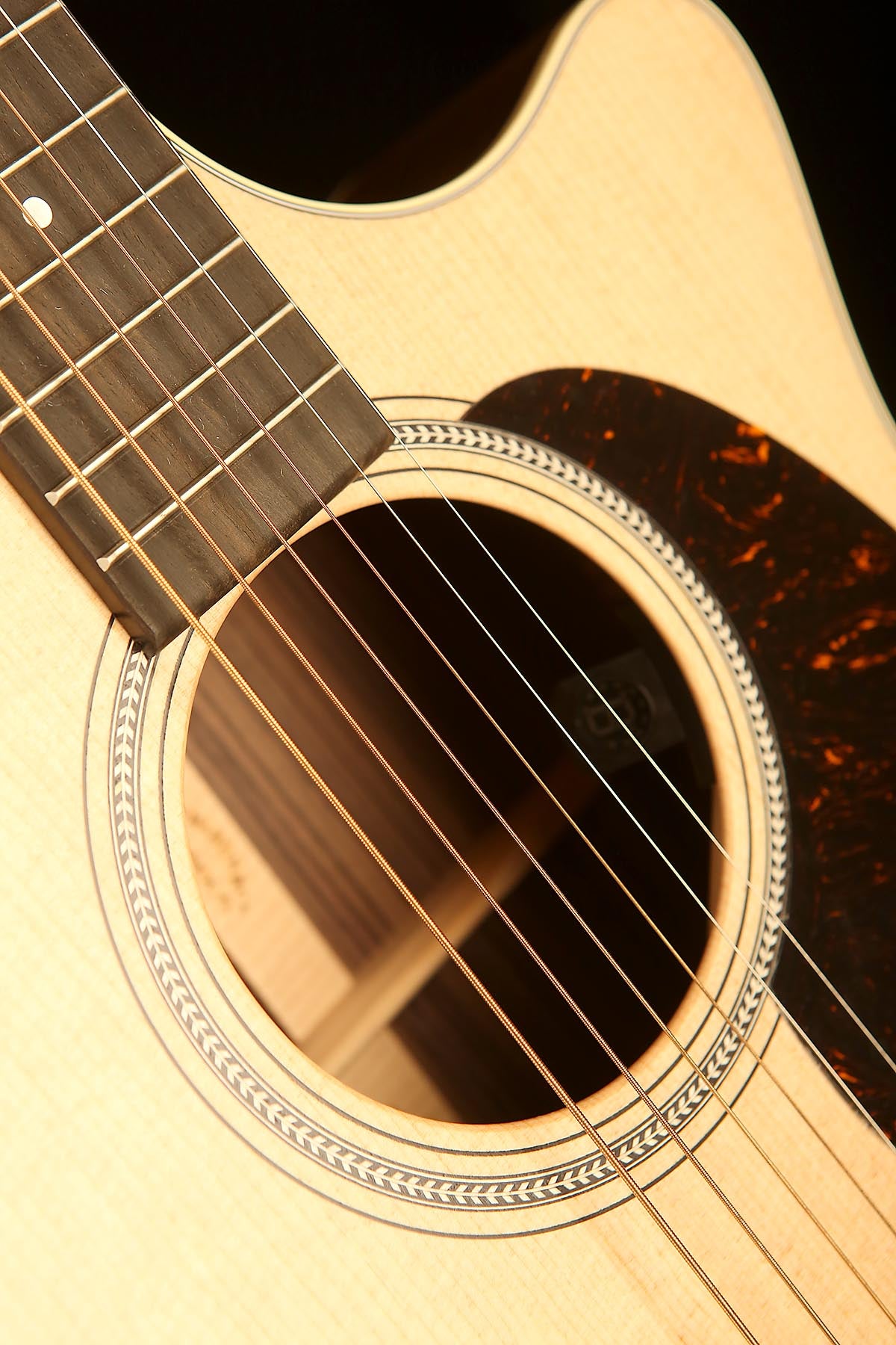 Martin GPC16E Rosewood: 16 Series Grand Performance Acoustic Electric Guitar - Acoustic Centre Music Store, Melbourne Australia