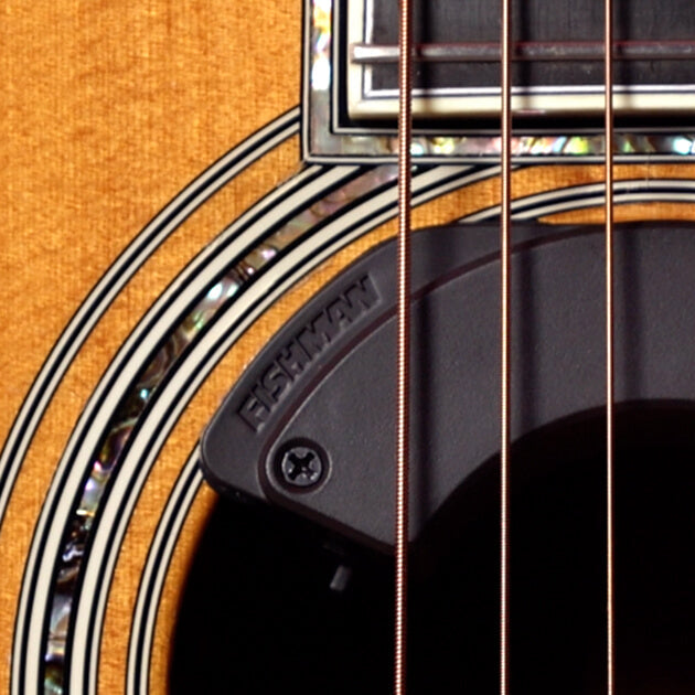 Fishman Fluence Acoustic Spotlight Soundhole Guitar Pickup