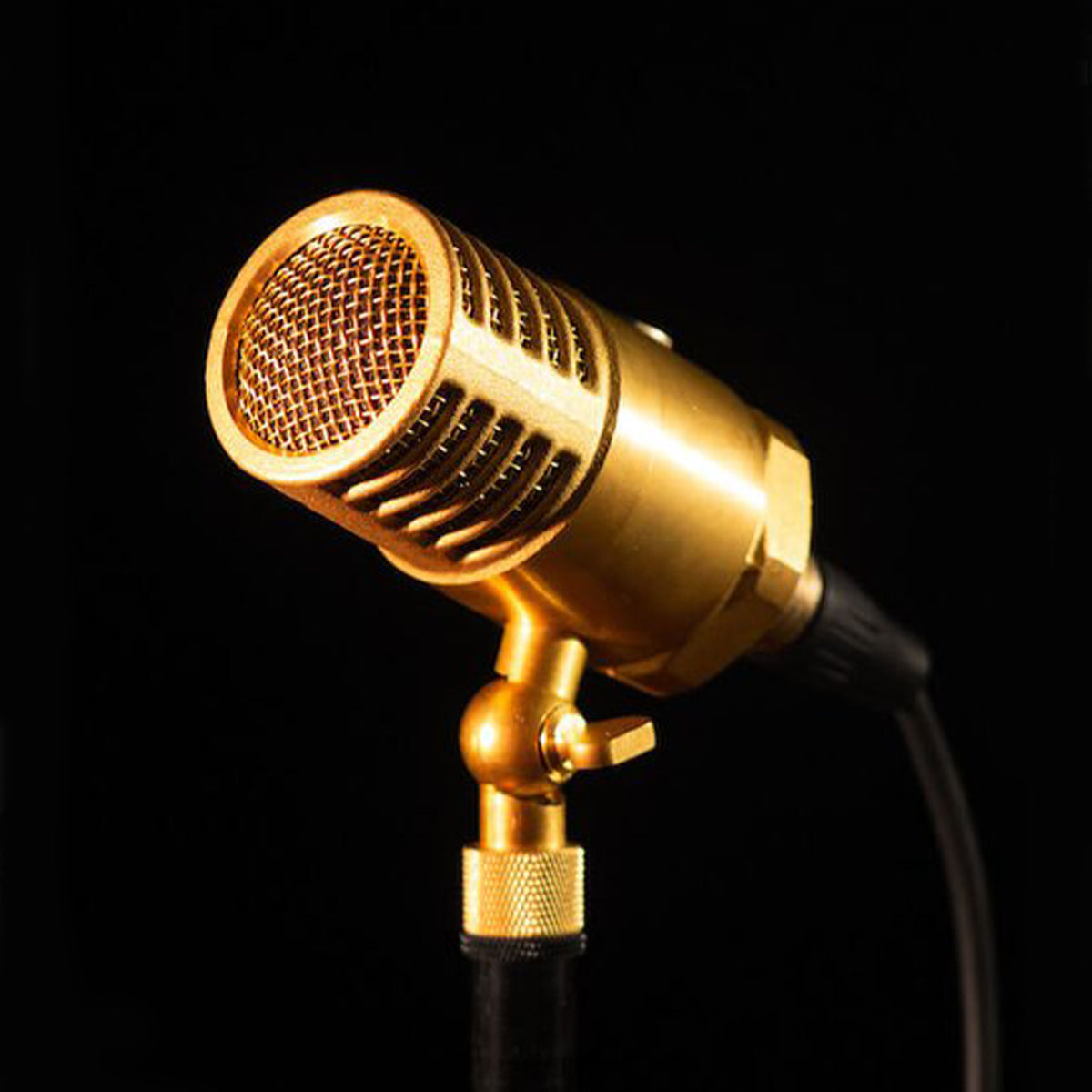 Ear Trumpet Labs Wanda Condensor Microphone - Acoustic Centre Music Store, Melbourne Australia