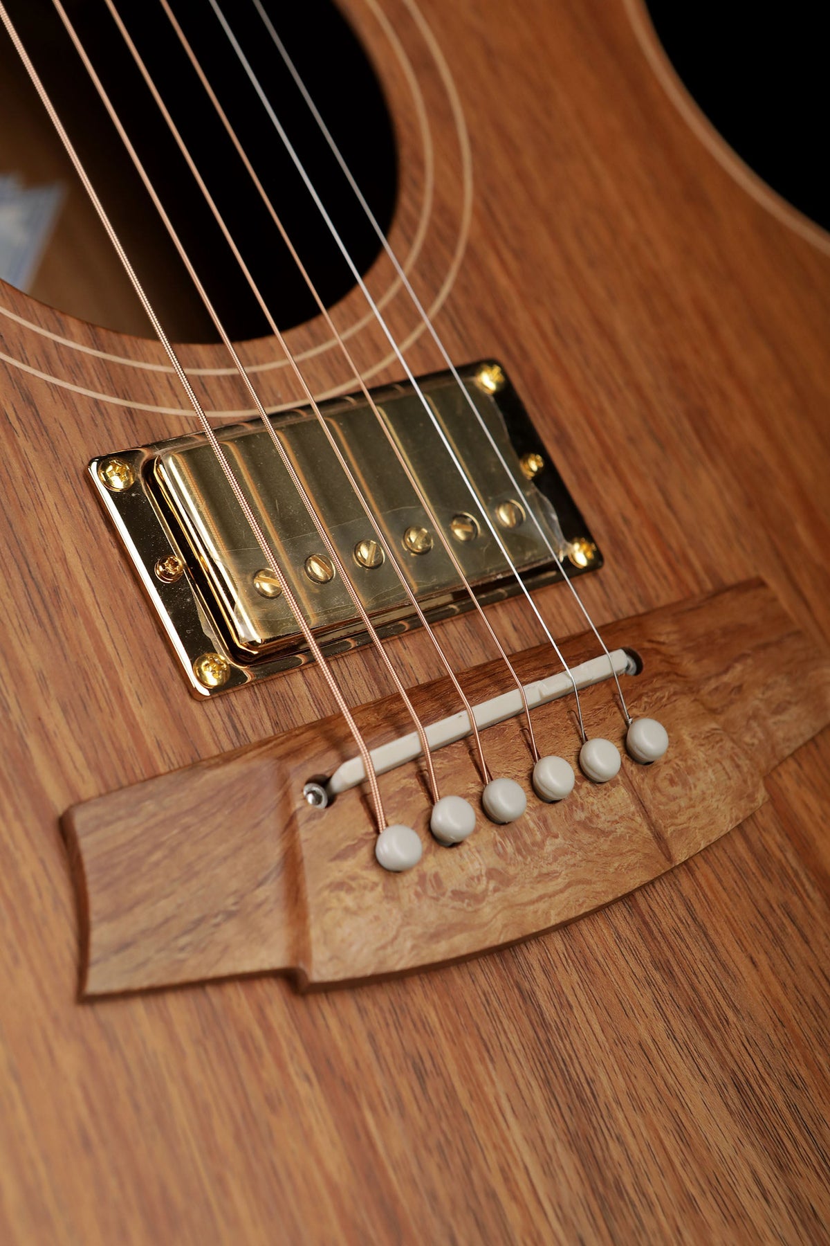 Cole Clark 'Angel' AN2EC Blackwood / Blackwood Humbucker Acoustic Electric Guitar - Acoustic Centre Music Store, Melbourne Australia