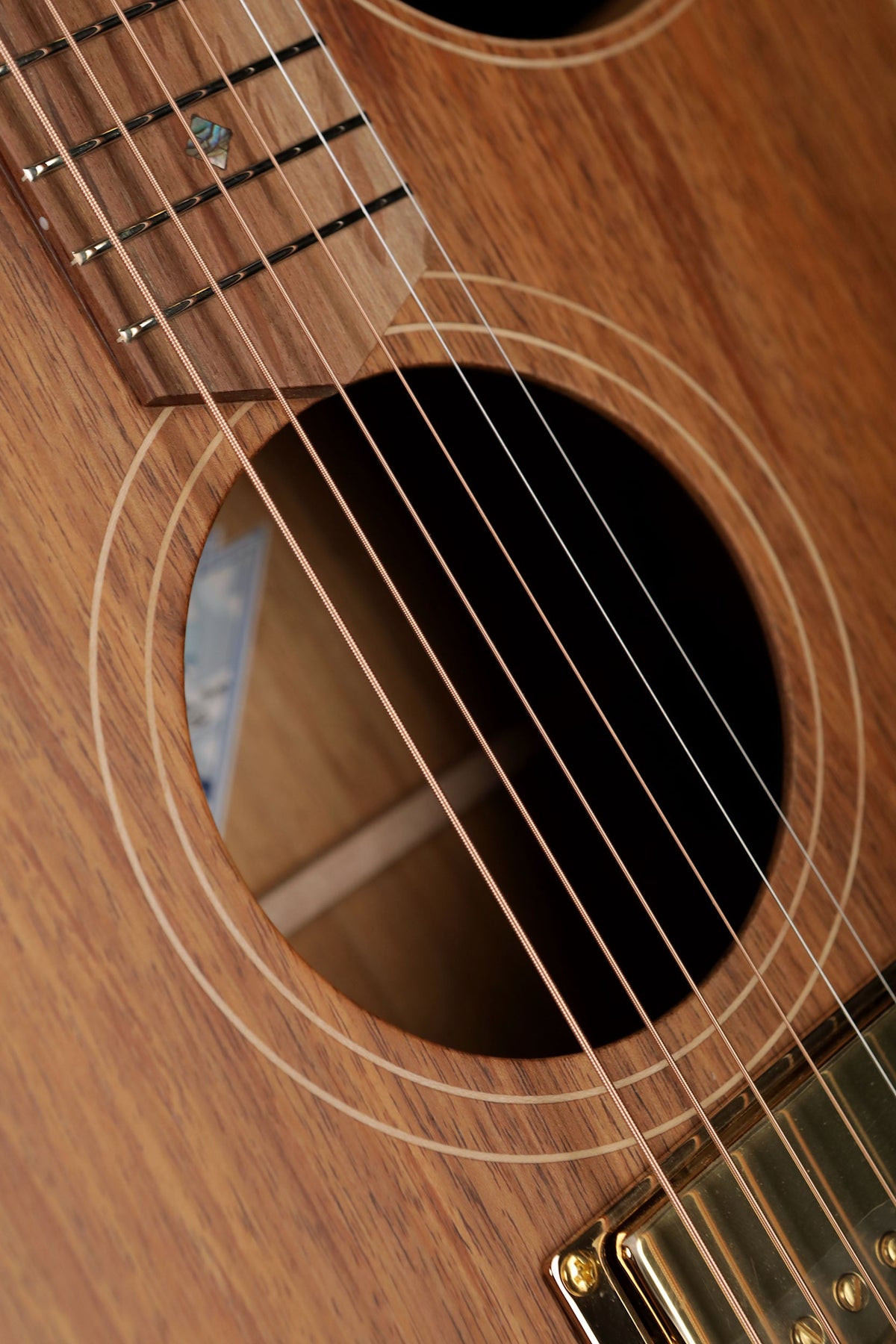 Cole Clark 'Angel' AN2EC Blackwood / Blackwood Humbucker Acoustic Electric Guitar - Acoustic Centre Music Store, Melbourne Australia