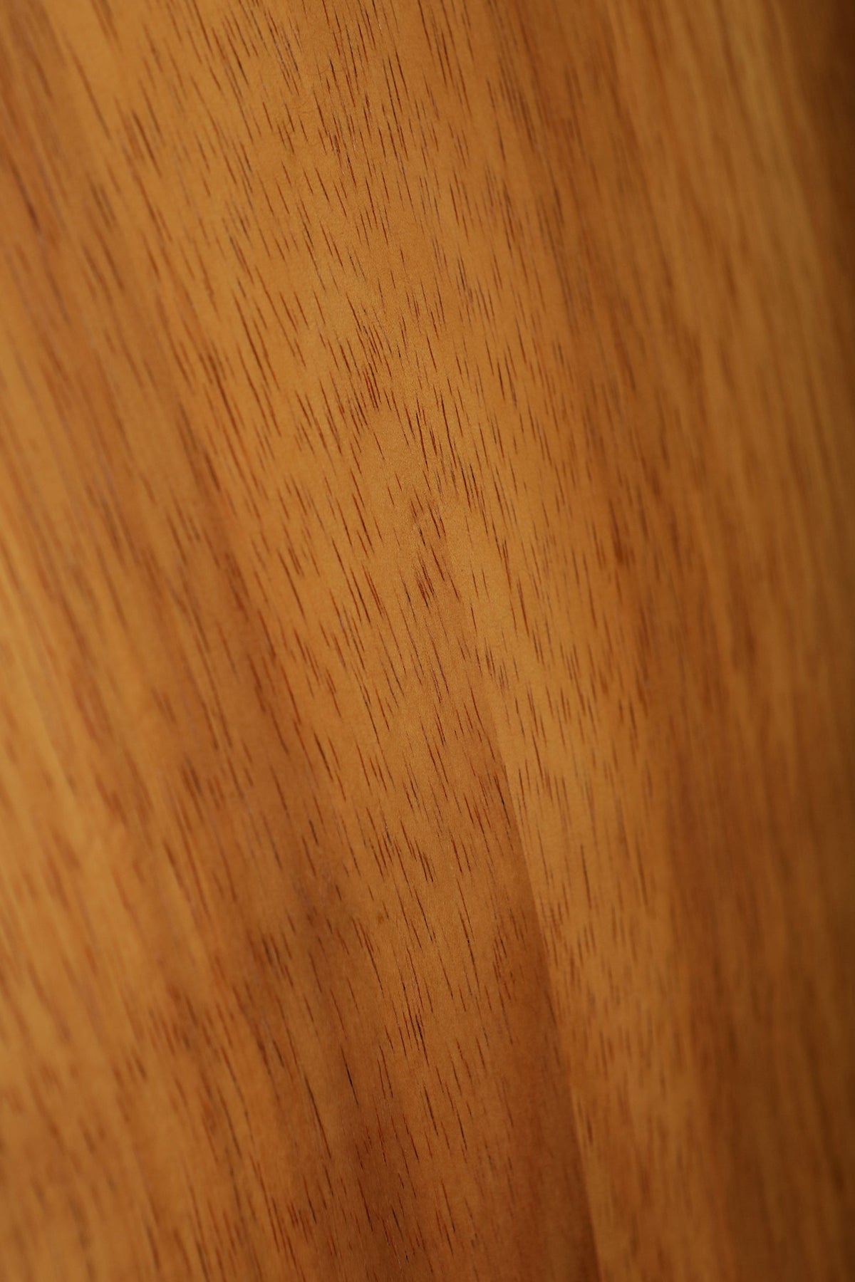 Taylor GS Mini-e Koa Acoustic Electric Guitar - Acoustic Centre Music Store, Melbourne Australia