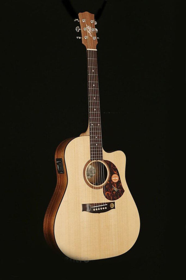 Music Colin Hay Santa Cruz Guitar Maton SRS70C Acoustic Electric