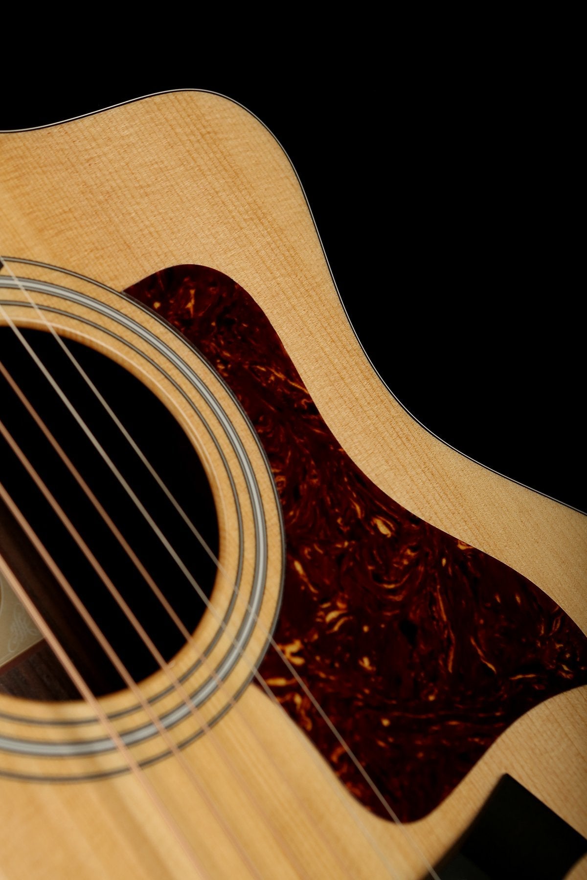 Taylor 214ce Plus Acoustic Electric Guitar - Acoustic Centre Music Store, Melbourne Australia