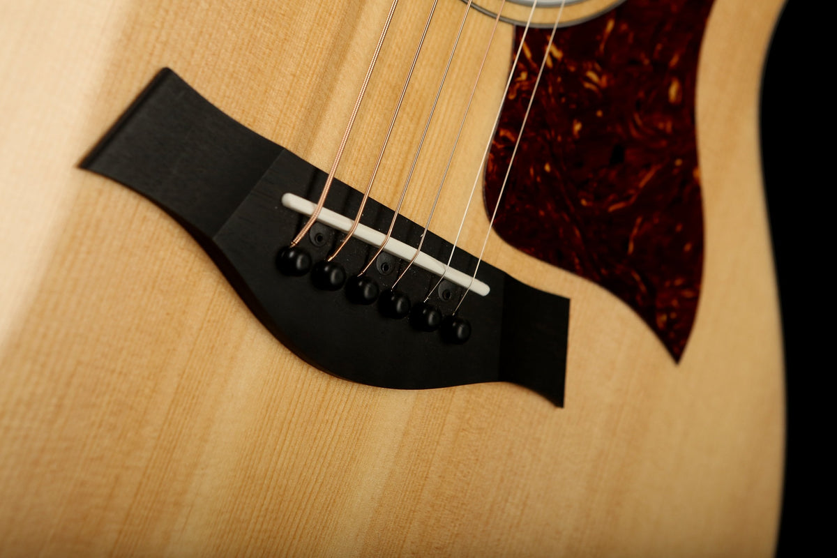 Taylor 214ce Plus Acoustic Electric Guitar - Acoustic Centre Music Store, Melbourne Australia