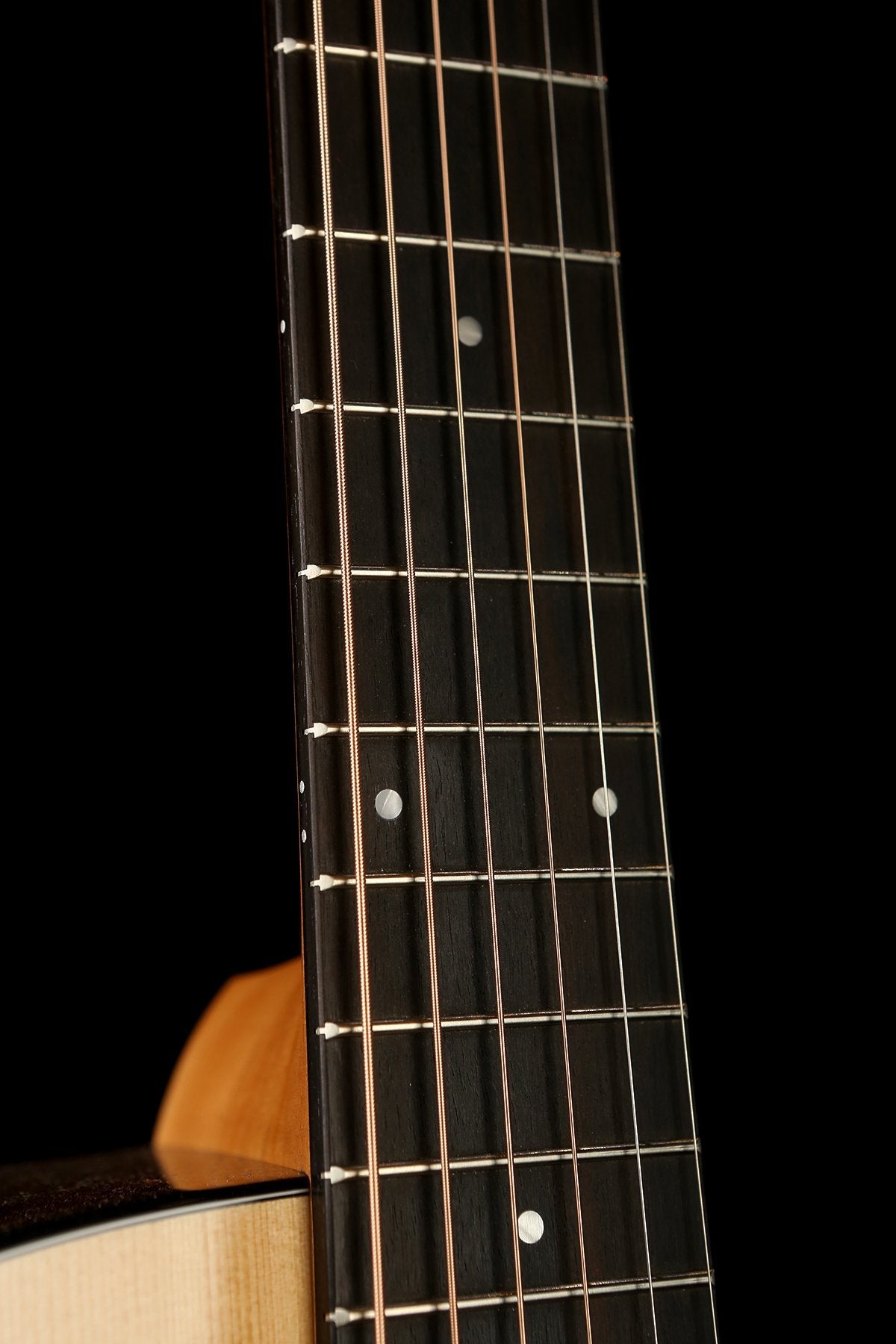 Taylor 214ce Plus Acoustic Electric Guitar - Acoustic Centre Music Store, Melbourne Australia