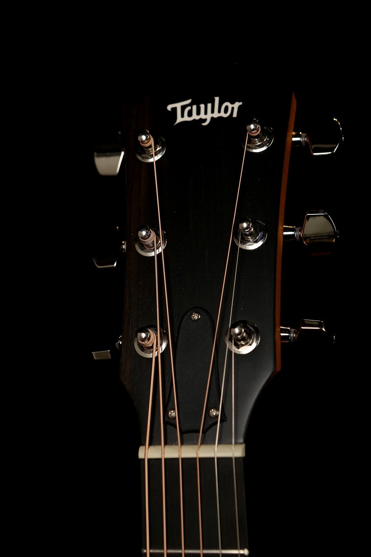 Taylor 214ce Plus Acoustic Electric Guitar - Acoustic Centre Music Store, Melbourne Australia