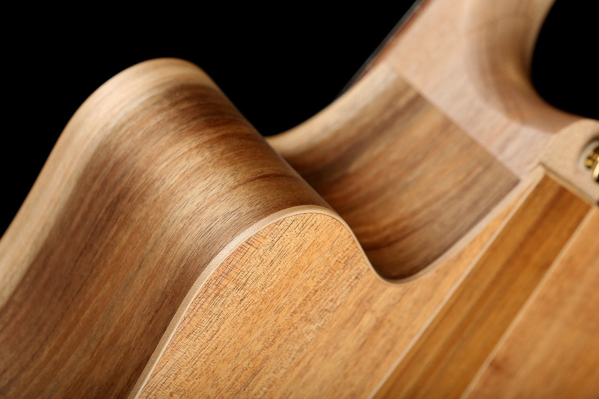 Cole Clark &#39;Fat Lady&#39; FL2EC RDBL Redwood / Blackwood Acoustic Electric Guitar - Acoustic Centre Music Store, Melbourne Australia