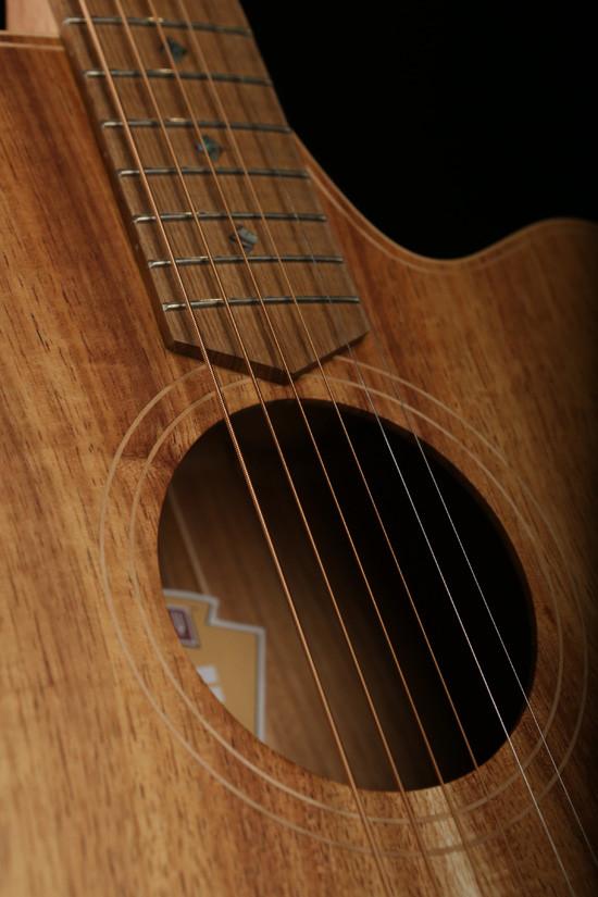 Cole Clark &#39;Fat Lady&#39; FL2EC Blackwood / Blackwood Acoustic Electric Guitar - Acoustic Centre Music Store, Melbourne Australia