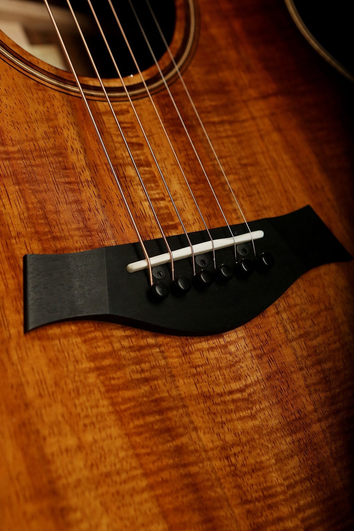 Taylor K24ce V-Class Acoustic Electric Guitar - Acoustic Centre Music Store, Melbourne Australia