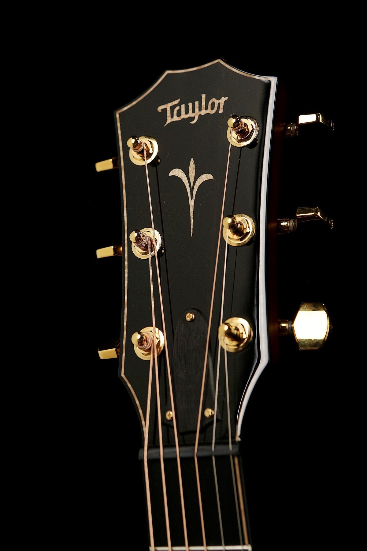 Taylor K24ce V-Class Acoustic Electric Guitar - Acoustic Centre Music Store, Melbourne Australia