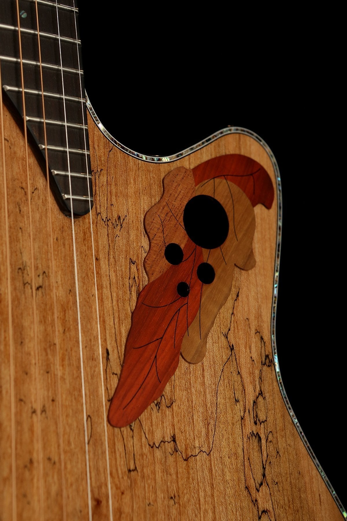 Ovation CE44P Exotic &#39;Spalted Maple&#39; Celebrity Elite Acoustic Guitar - Acoustic Centre Music Store, Melbourne Australia