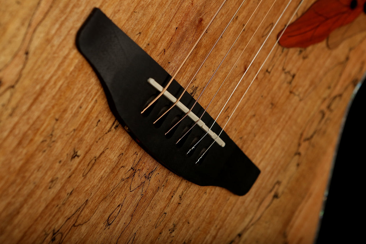 Ovation CE44P Exotic &#39;Spalted Maple&#39; Celebrity Elite Acoustic Guitar - Acoustic Centre Music Store, Melbourne Australia