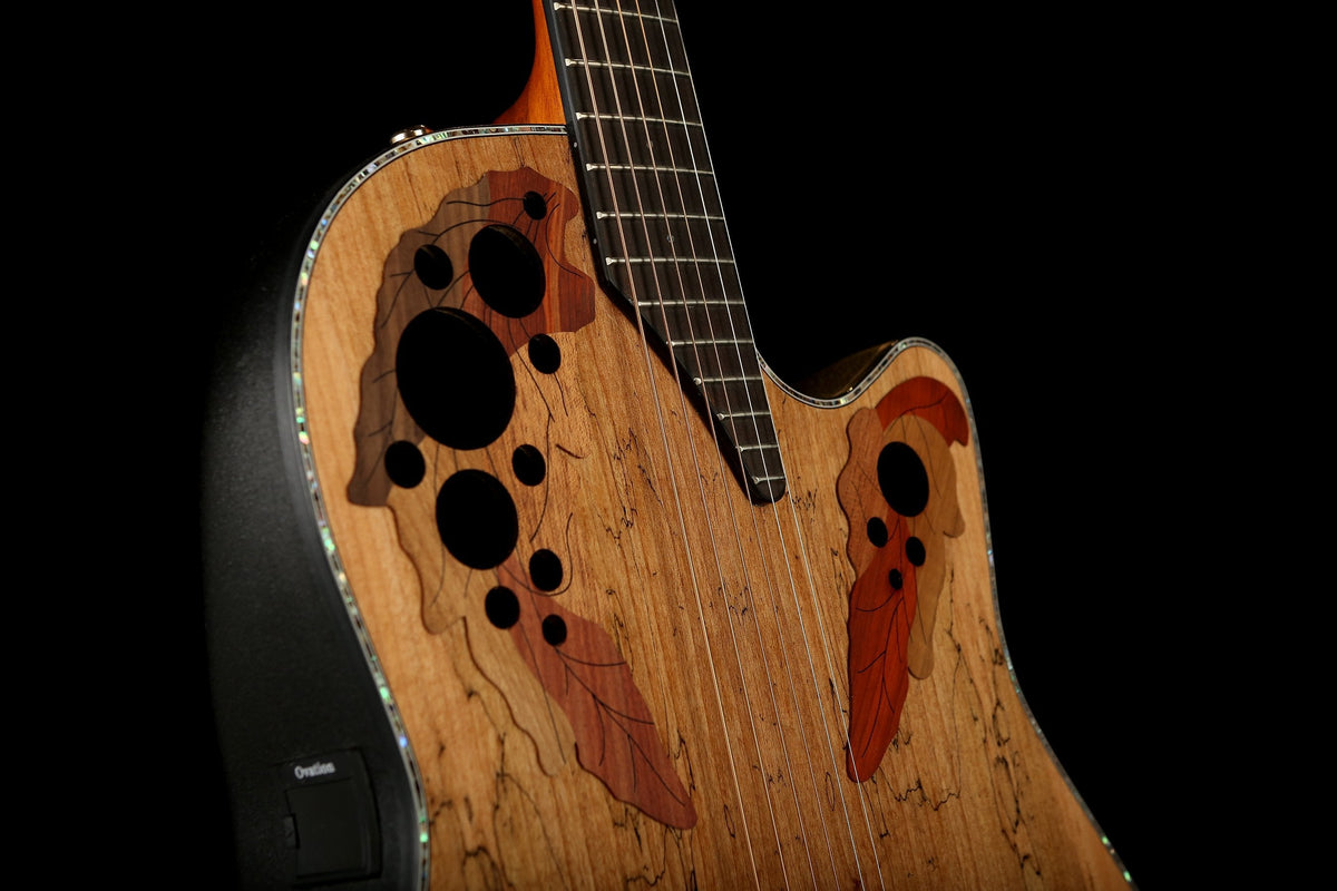 Ovation CE44P Exotic &#39;Spalted Maple&#39; Celebrity Elite Acoustic Guitar - Acoustic Centre Music Store, Melbourne Australia