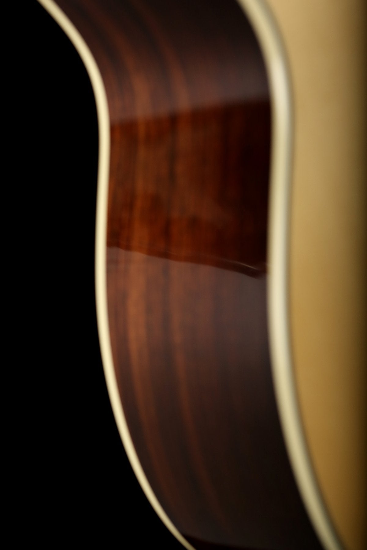 Eastman AC422CE Grand Auditorium Acoustic Electric Guitar - Acoustic Centre Music Store, Melbourne Australia