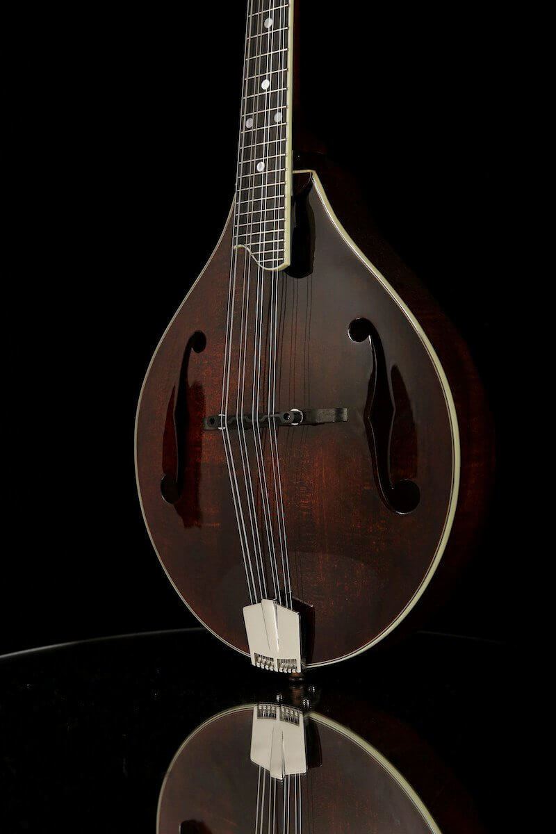 Eastman MD505 A Style Mandolin - Acoustic Centre Music Store, Melbourne Australia