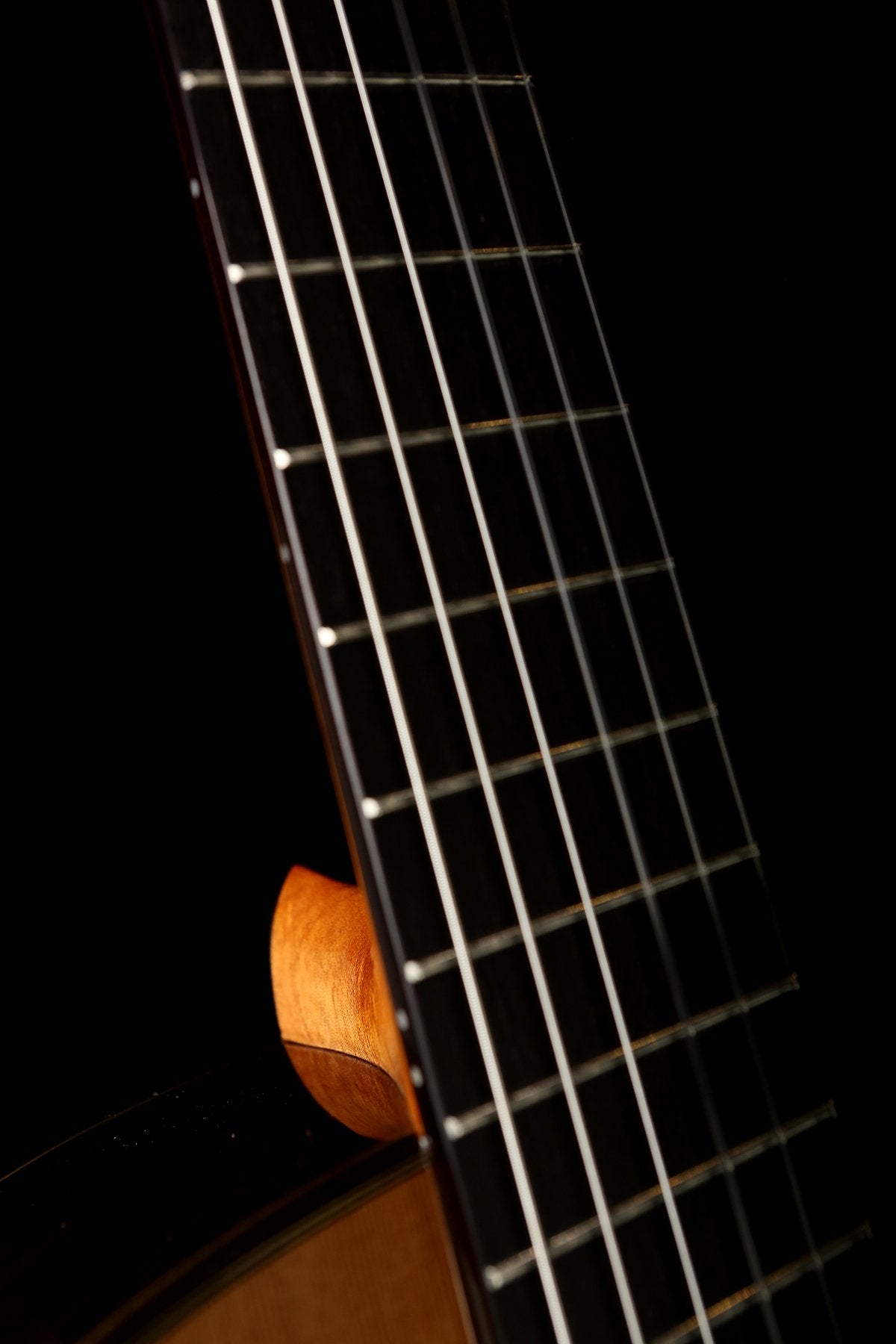 Cordoba C7 CE Classical Guitar - Acoustic Centre Music Store, Melbourne Australia