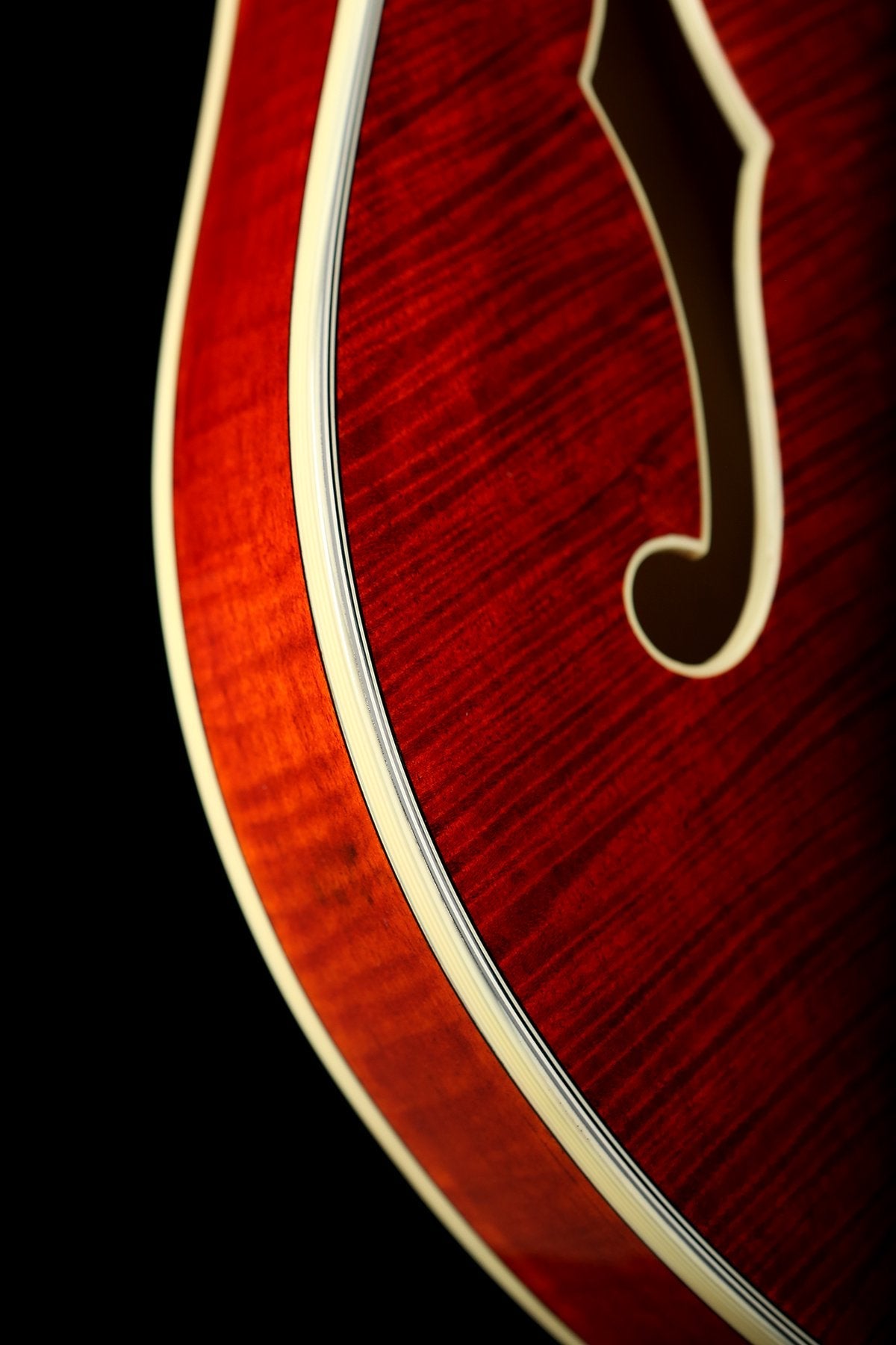 Eastman T486B Electric guitar - Acoustic Centre Music Store, Melbourne Australia